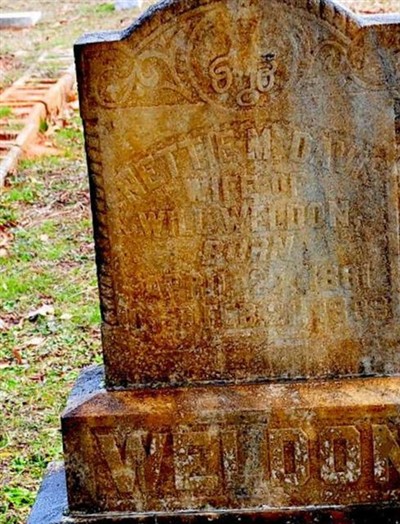 Nettie M. Davis Weldon on Sysoon