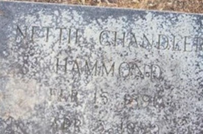 Nettie Marshall Chandler Hammond on Sysoon