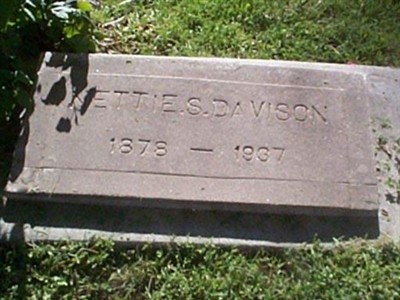 Nettie S. Davison on Sysoon