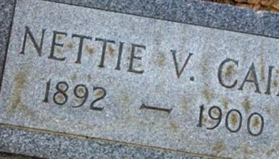 Nettie V Cain on Sysoon