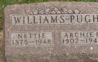 Nettie Williams Pugh on Sysoon