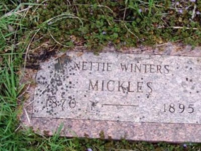 Nettie Winters Mickles on Sysoon