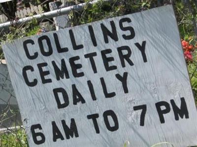 New Collins Cemetery on Sysoon