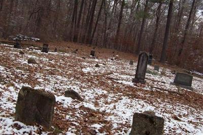 New Home Cemetery on Sysoon