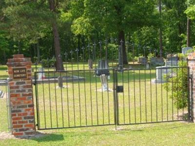 New Life Cemetery on Sysoon