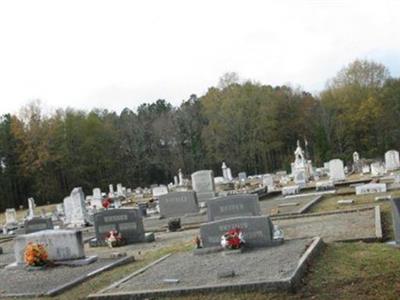 Newborn City Cemetery on Sysoon