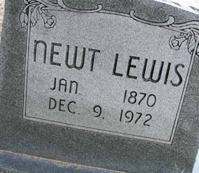 Newt Lewis on Sysoon