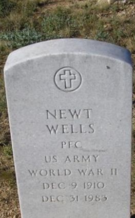 Newt Wells on Sysoon
