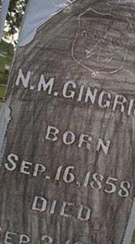 Newton M Gingrich on Sysoon