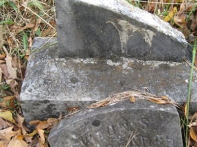 Newton S. Reader on Sysoon