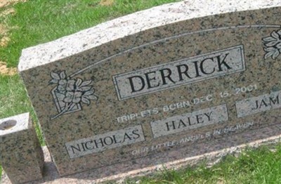 Nicholas Derrick on Sysoon