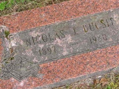 Nicolas J. Bucsit on Sysoon
