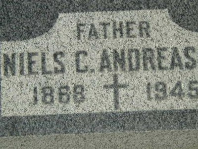 Niels C. Andreasen on Sysoon