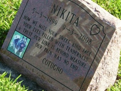 Nikita Cotugno on Sysoon