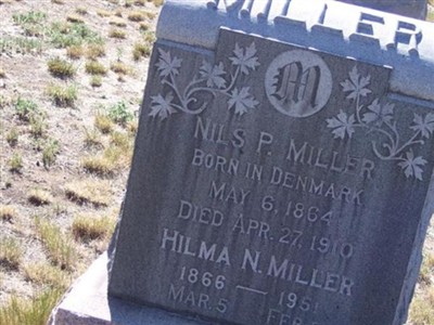 Nils P Miller on Sysoon