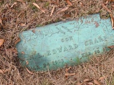 N. L. Edward Sharp on Sysoon
