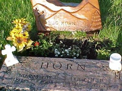 Norma Faye McCain Horn on Sysoon