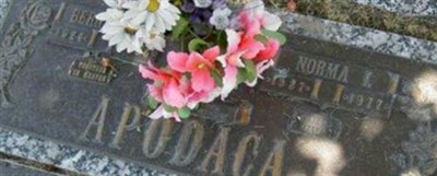 Norma I. Apodaca on Sysoon