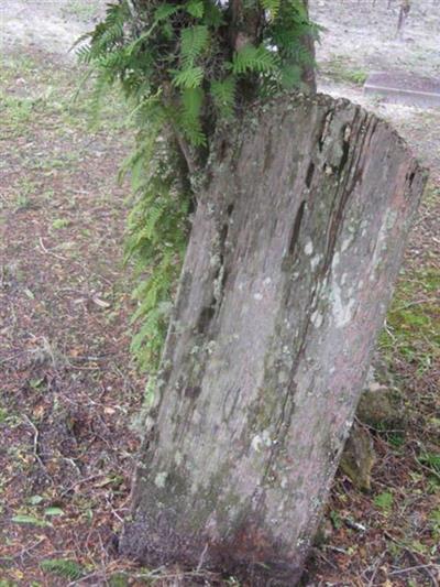 North Prong Cemetery on Sysoon