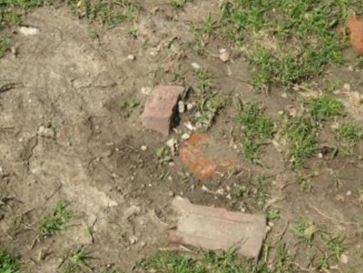 Nova Cat, Find a grave on Sysoon Nova Cat on Sysoon