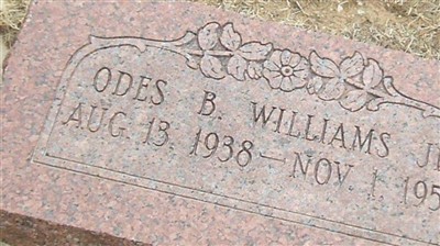 Odes B Williams, Jr on Sysoon