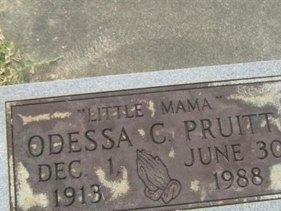Odessa C. Pruitt on Sysoon