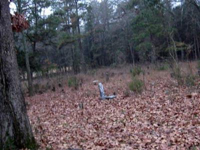 Old Baptist Cemetery on Sysoon