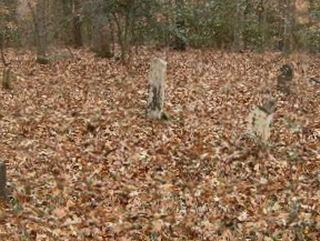 Old John Foster Cemetery on Sysoon