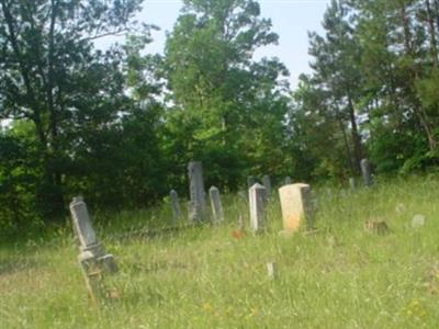 Old Mauldin Cemetery on Sysoon