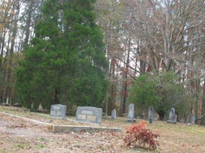 Old Reeves Cemetery on Sysoon