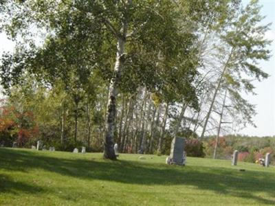 Old Rock Elm on Sysoon