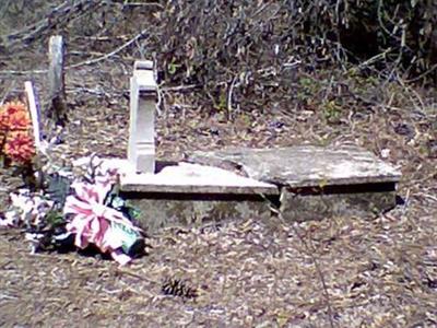 Old Scott Family Cemetery on Sysoon