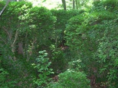 The Old Union Cemetery on Sysoon