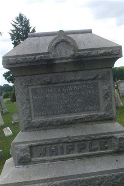 Olive A. Whipple on Sysoon