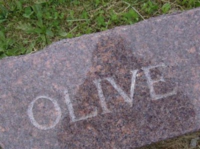 Olive B. Knedler Lang on Sysoon