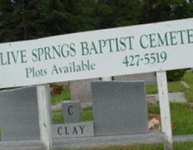 Olive Springs Baptist Cemetery on Sysoon