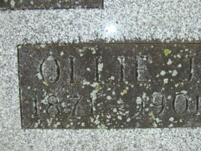 Ollie J Collet on Sysoon