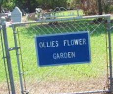 Ollieville Cemetery on Sysoon