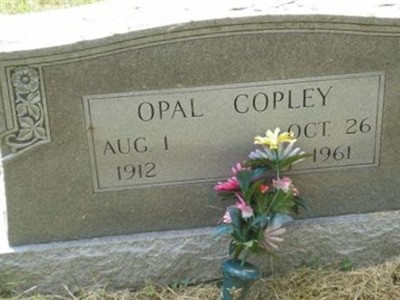 Opal Copley on Sysoon