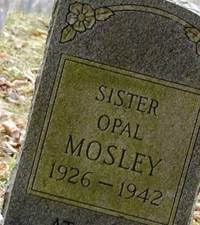 Opal Mosley on Sysoon