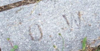 Orrillia Shurtleff Wilcox on Sysoon