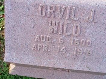 Orvil J Wild on Sysoon