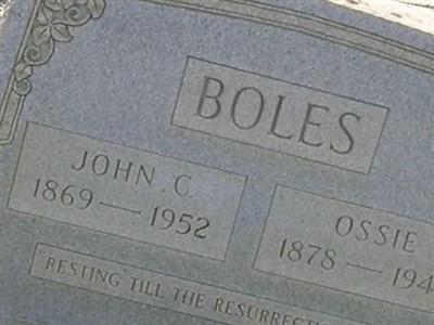 Ossie Hause Boles on Sysoon