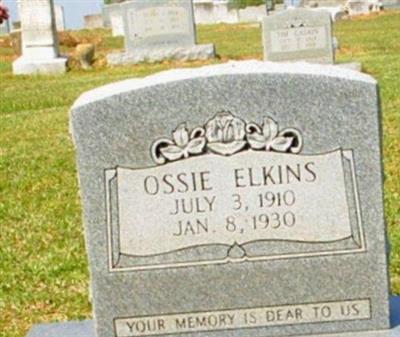 Ossie Lee Elkins on Sysoon