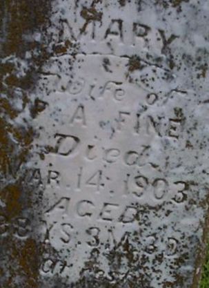 P. A. Fine on Sysoon