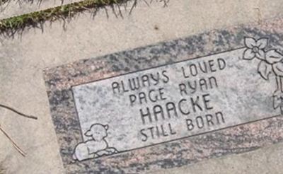 Page Ryan Haacke on Sysoon