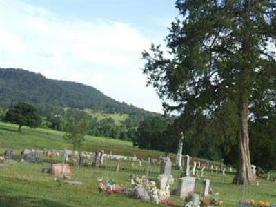 Paint Rock Cemetery on Sysoon