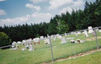 Palestine Cemetery on Sysoon