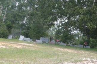 Palestine Cemetery on Sysoon