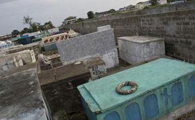 Palm Grove Cemetery on Sysoon